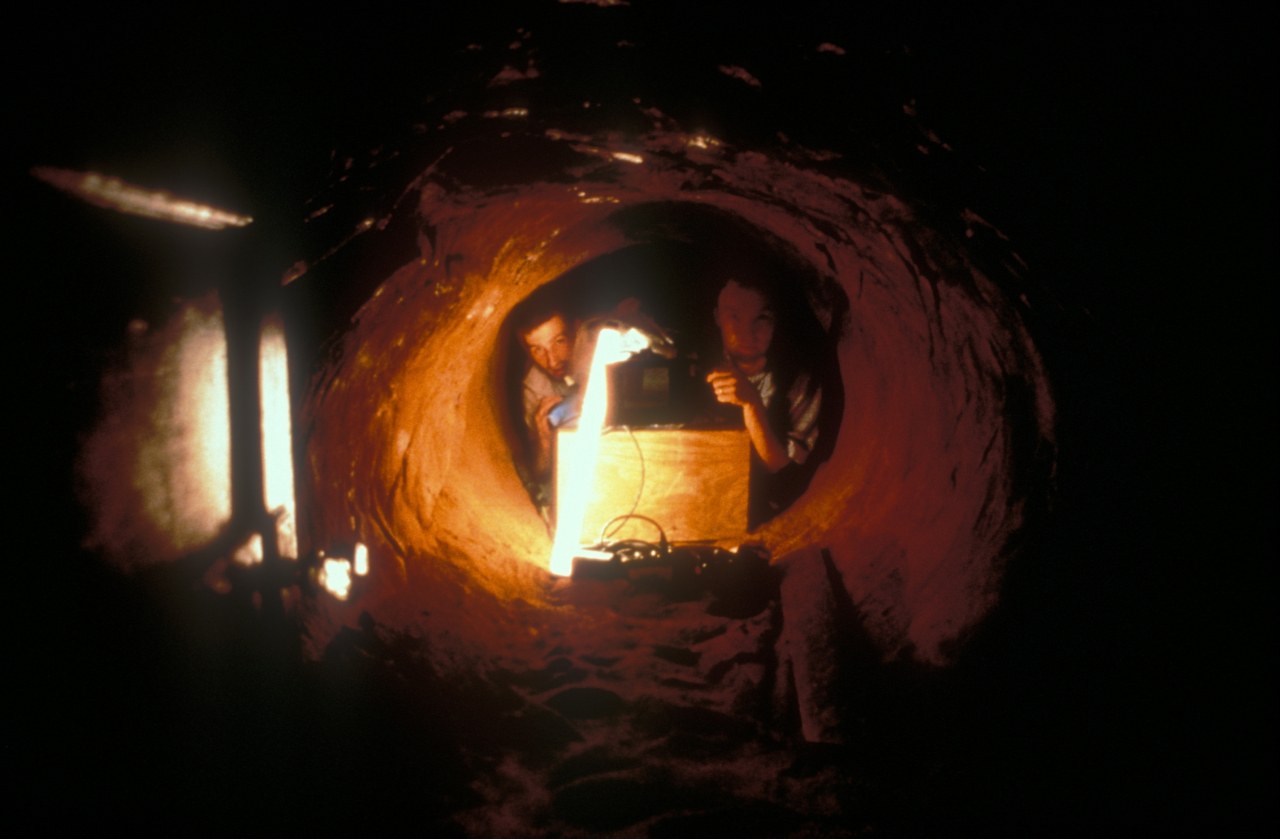 Being John Malkovich - Bild 20