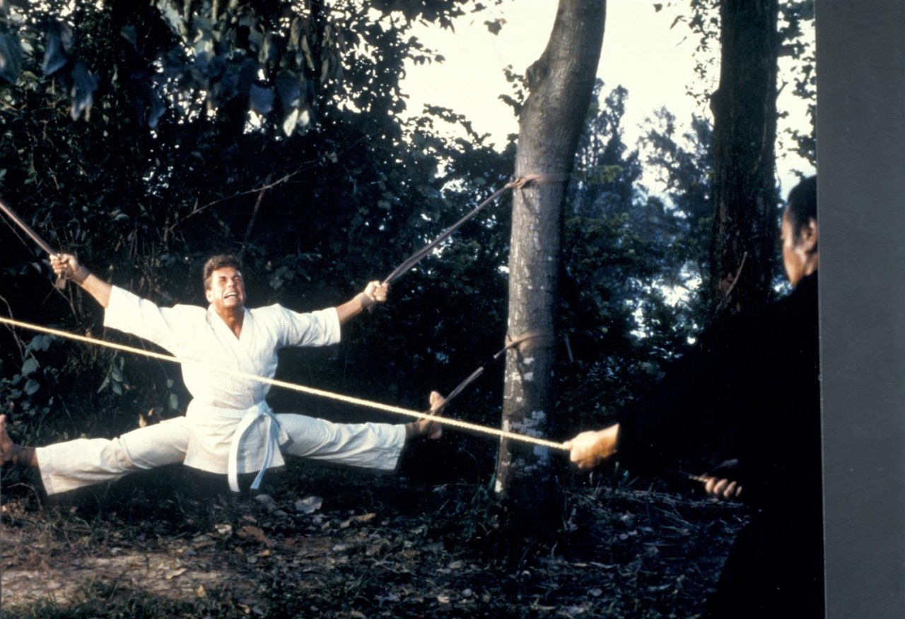 Bloodsport - Bild 2