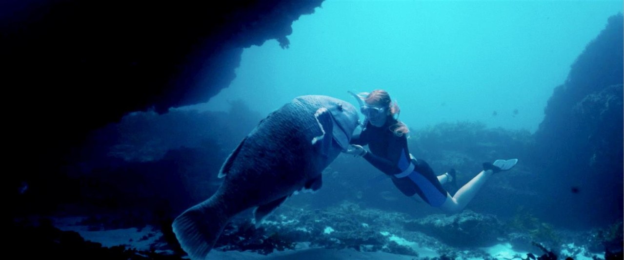 Blueback - Eine tiefe Freundschaft - Bild 2