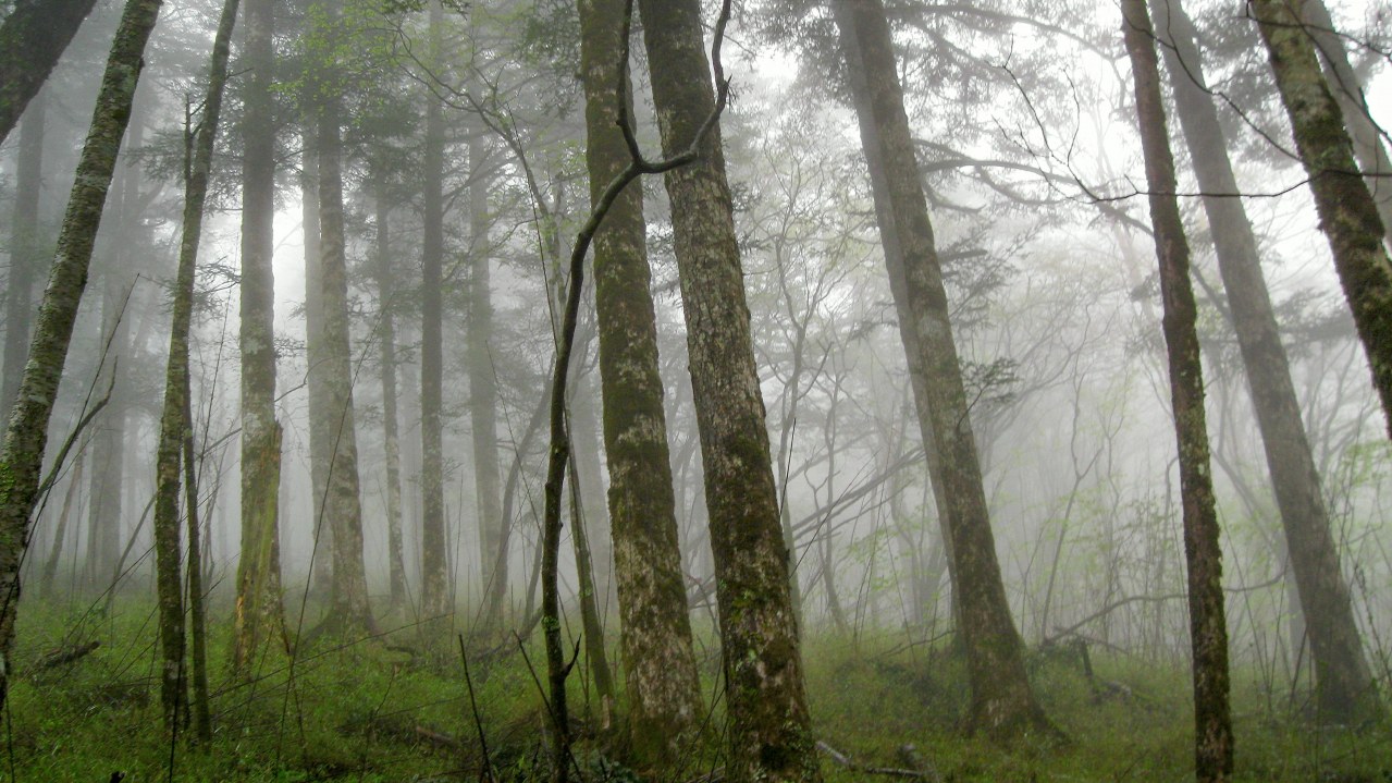 Born in China - Bild 13