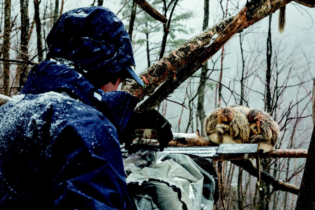 Born in China - Bild 20