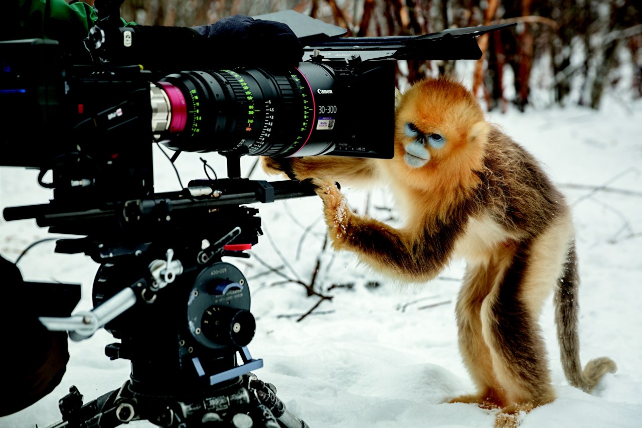 Born in China - Bild 26