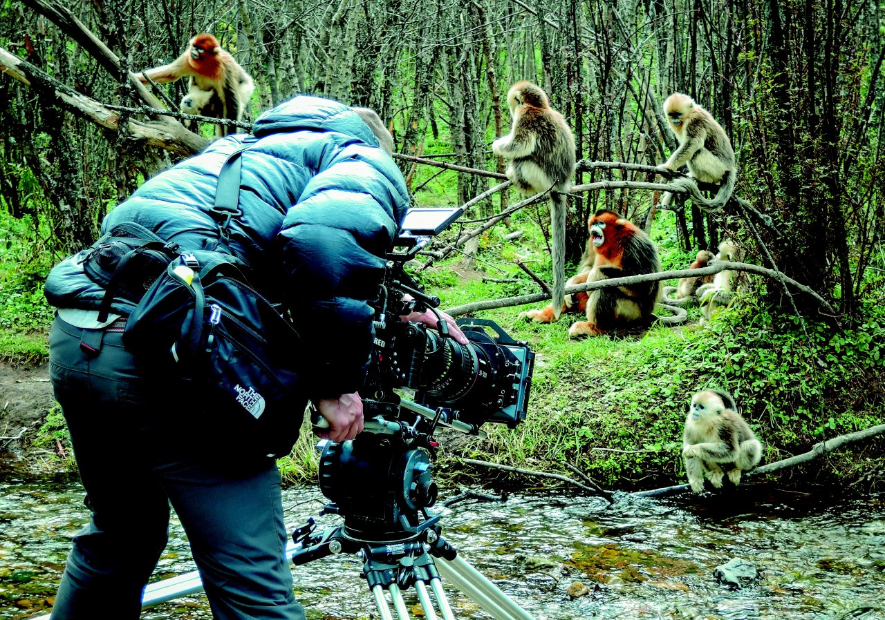 Born in China - Bild 28