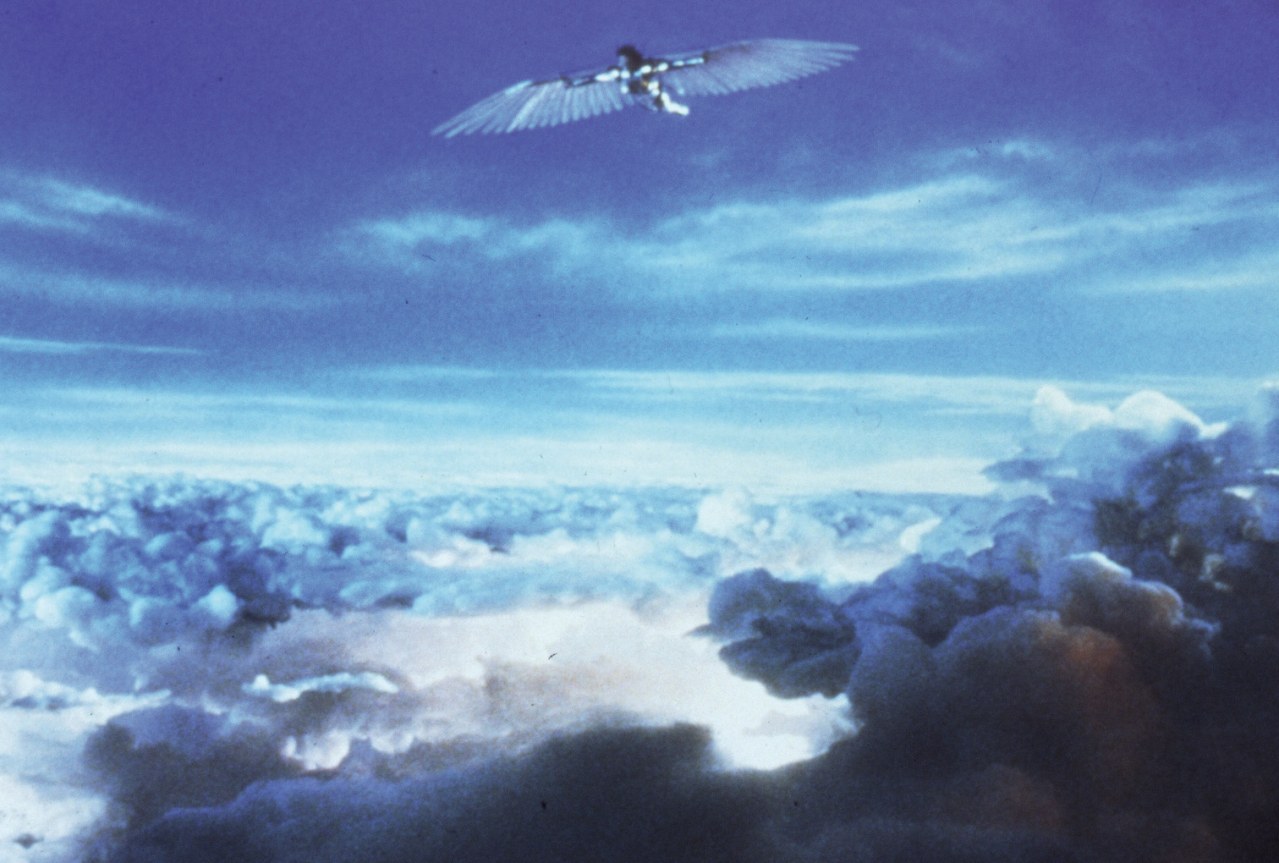 Brazil - Bild 3
