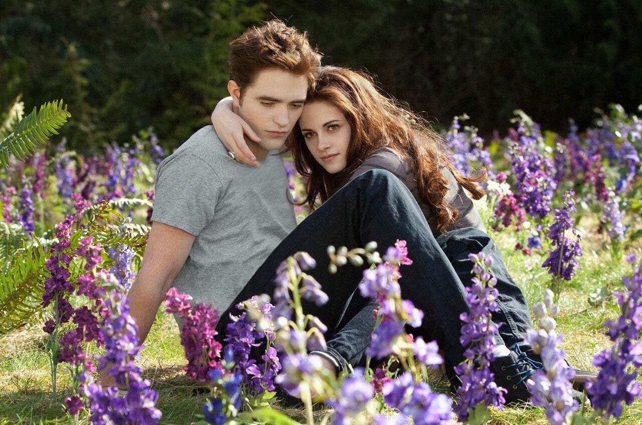 Breaking Dawn - Biss zum Ende der Nacht, Teil 2 - Bild 17