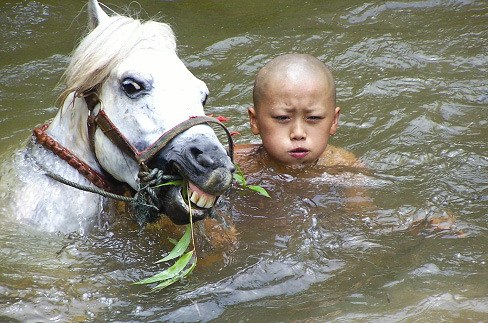 Buddha's Lost Children - Bild 3