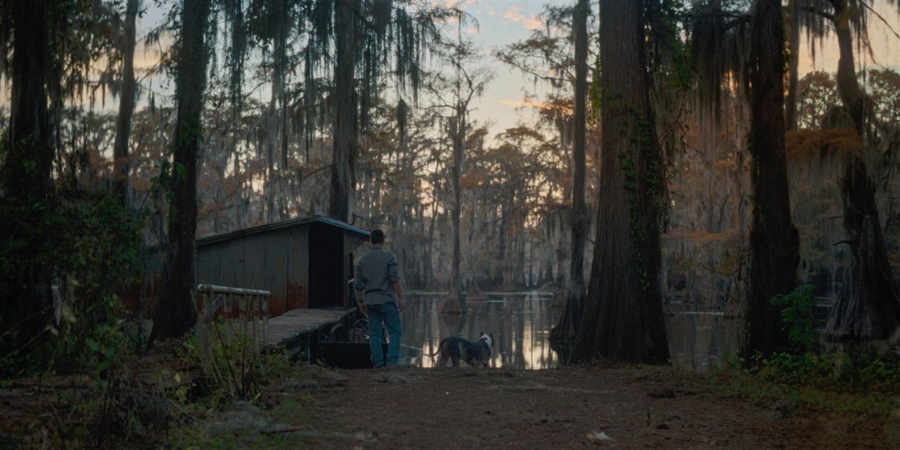 Caddo Lake - Bild 3
