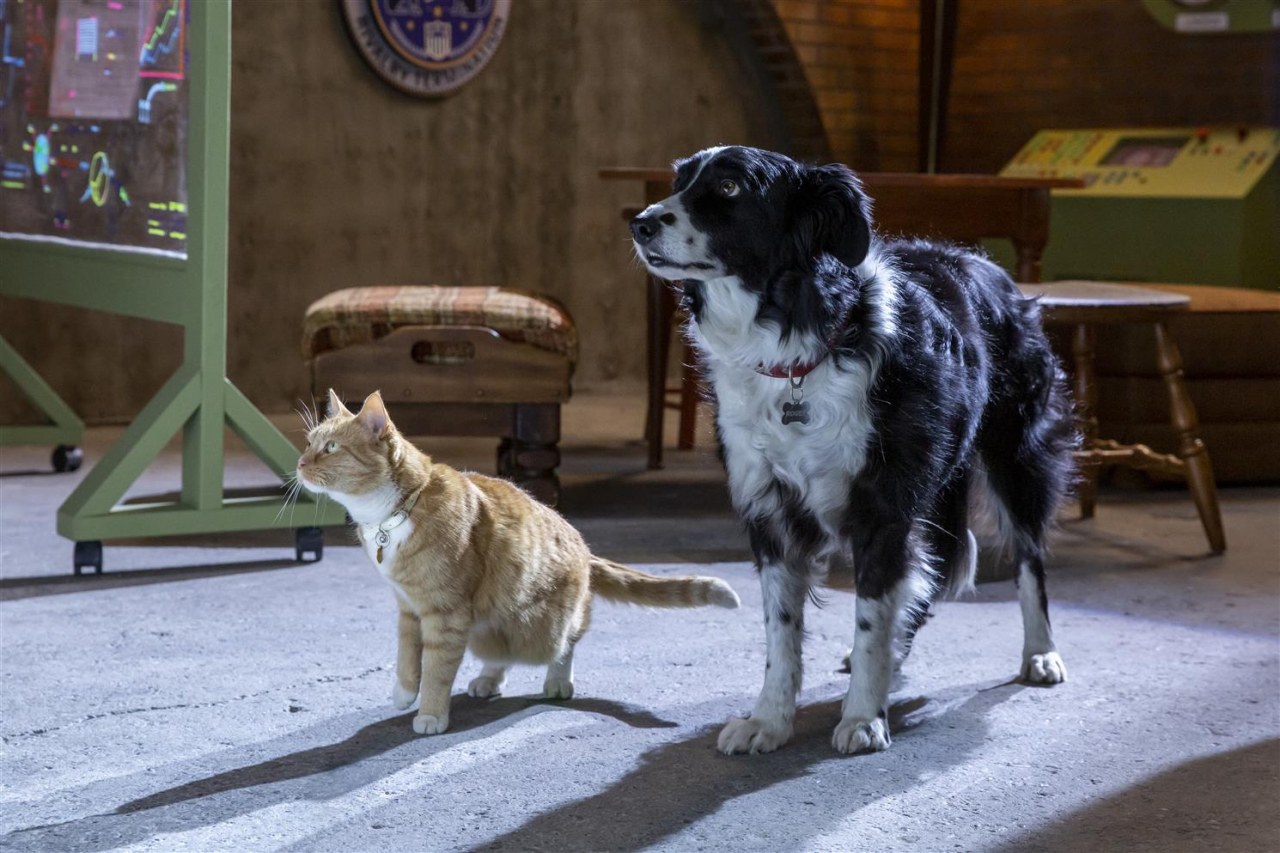 Cats & Dogs 3: Pfoten vereint! - Bild 6