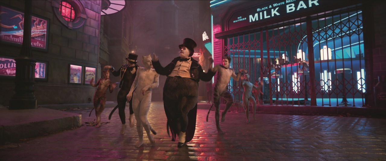 Cats - Bild 1
