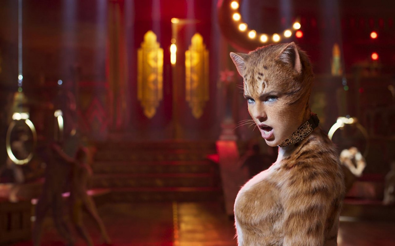 Cats - Bild 3