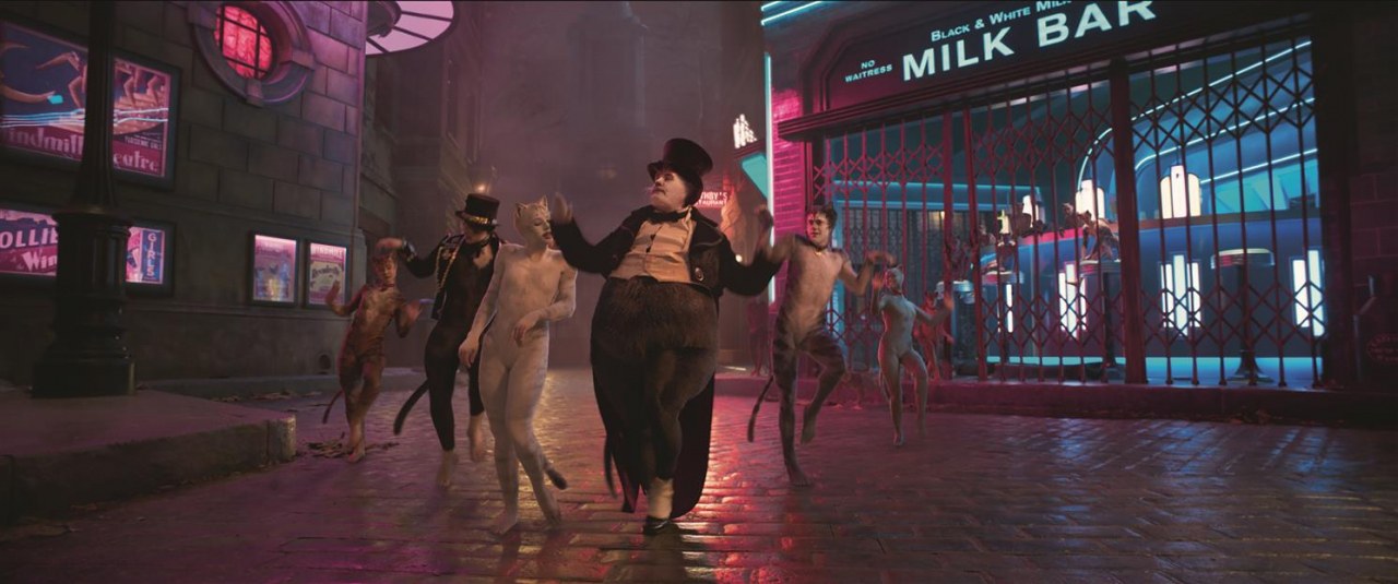 Cats - Bild 4