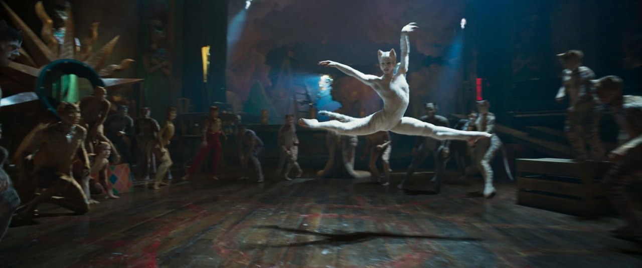 Cats - Bild 6