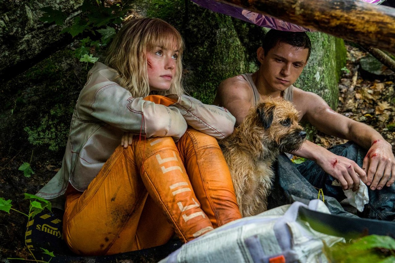 Chaos Walking - Bild 5
