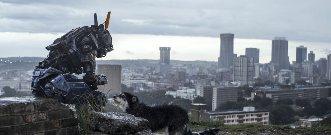 Chappie - Bild 1