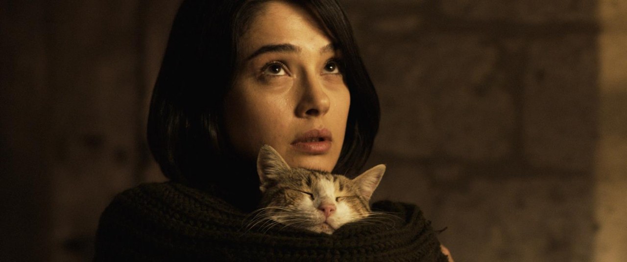 Clair Obscur - Bild 2