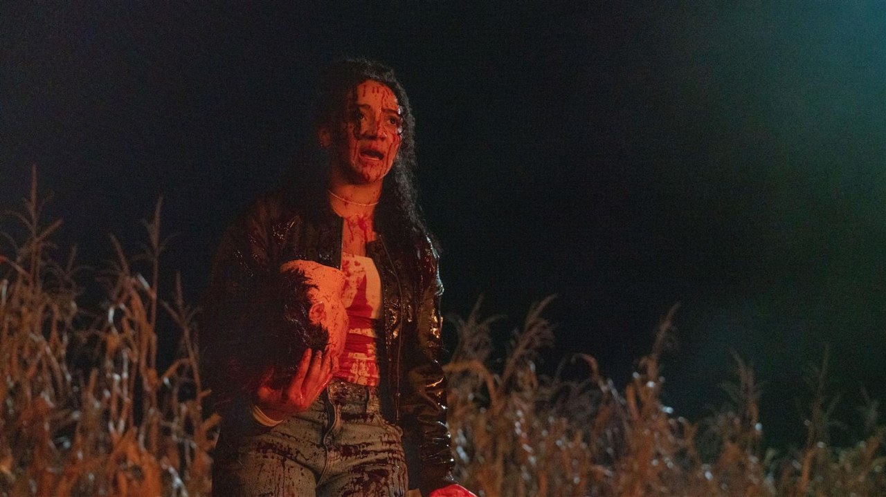 Clown in a Cornfield - Bild 1