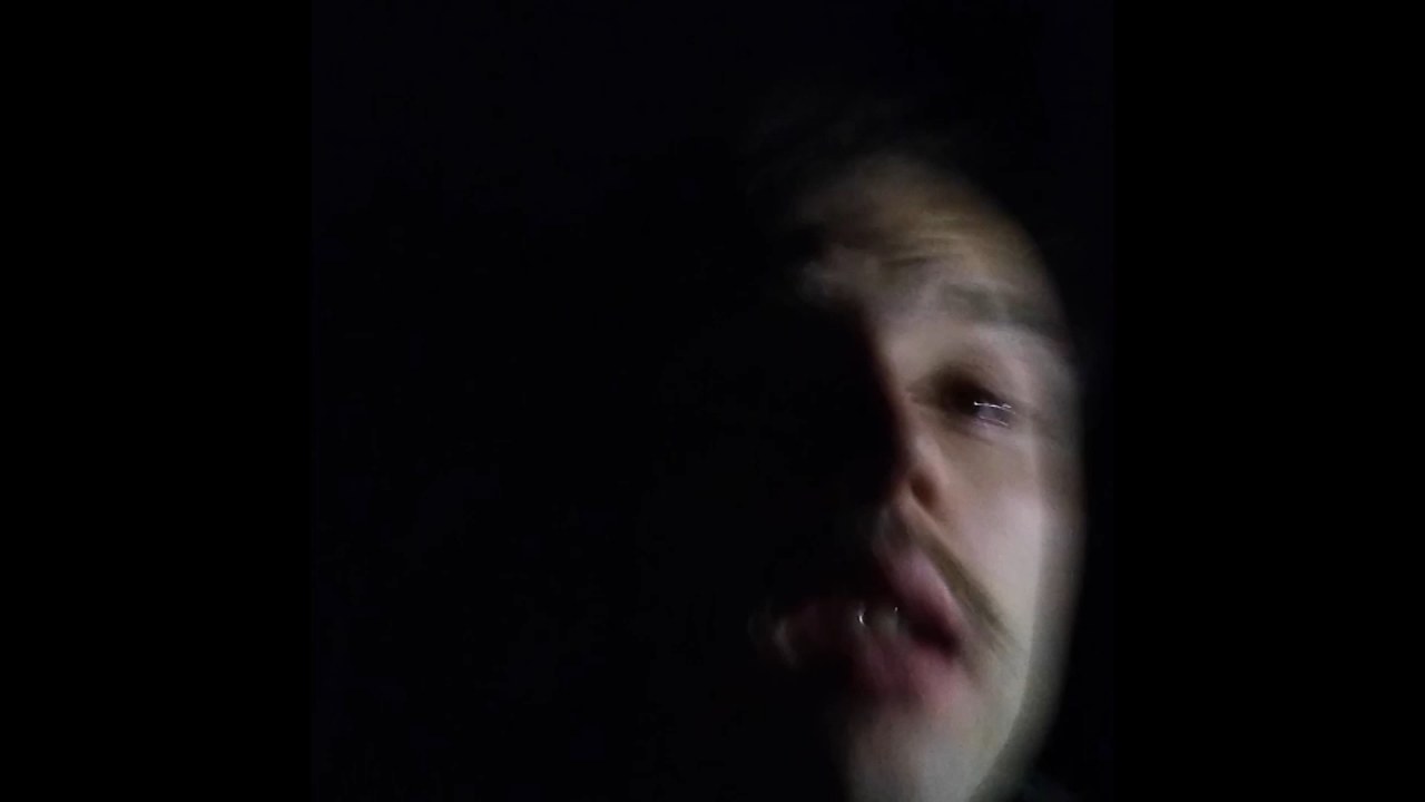 Das Böse im Wald - Bild 1