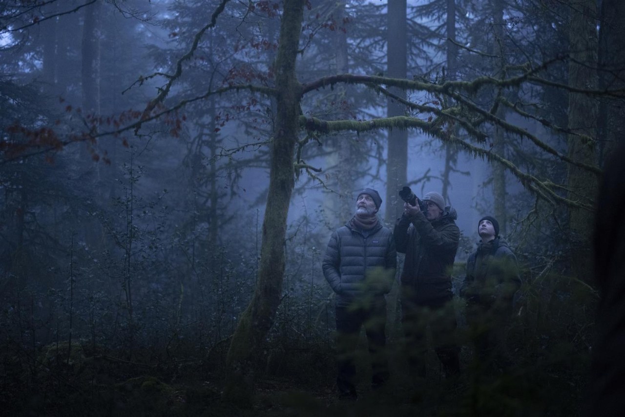 Das Flüstern der Wälder - Bild 1