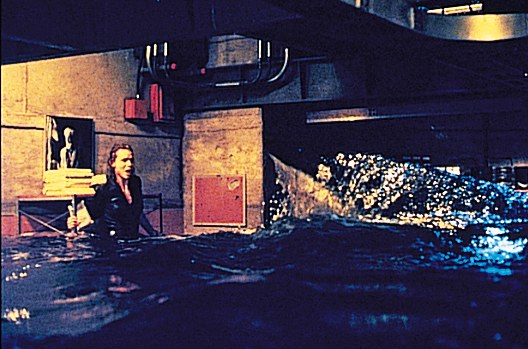 Deep Blue Sea - Bild 5