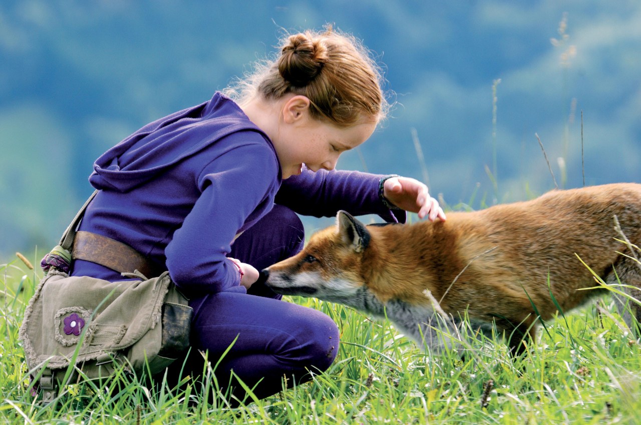 Der Fuchs und das Mädchen - Bild 1