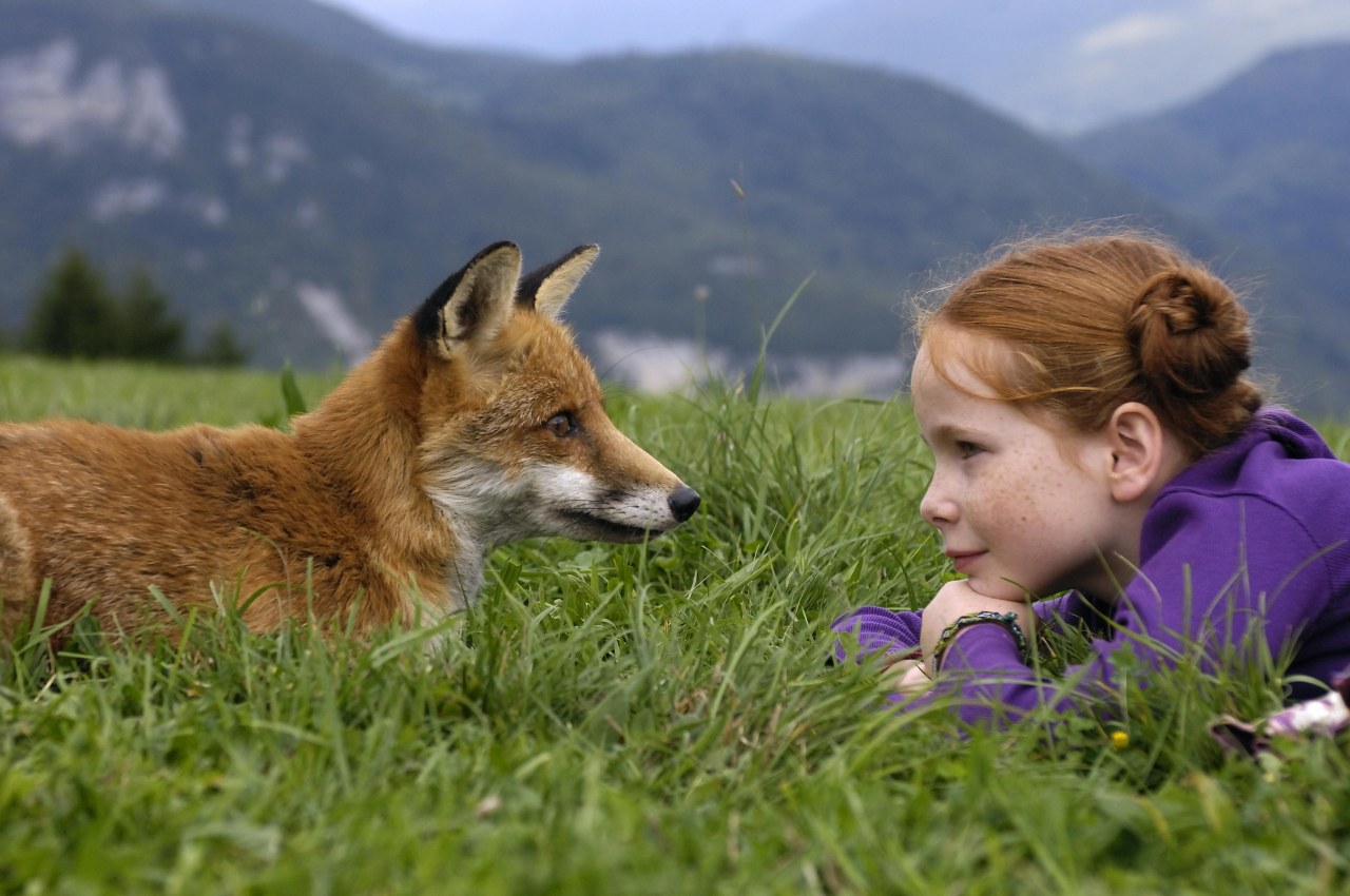 Der Fuchs und das Mädchen - Bild 6