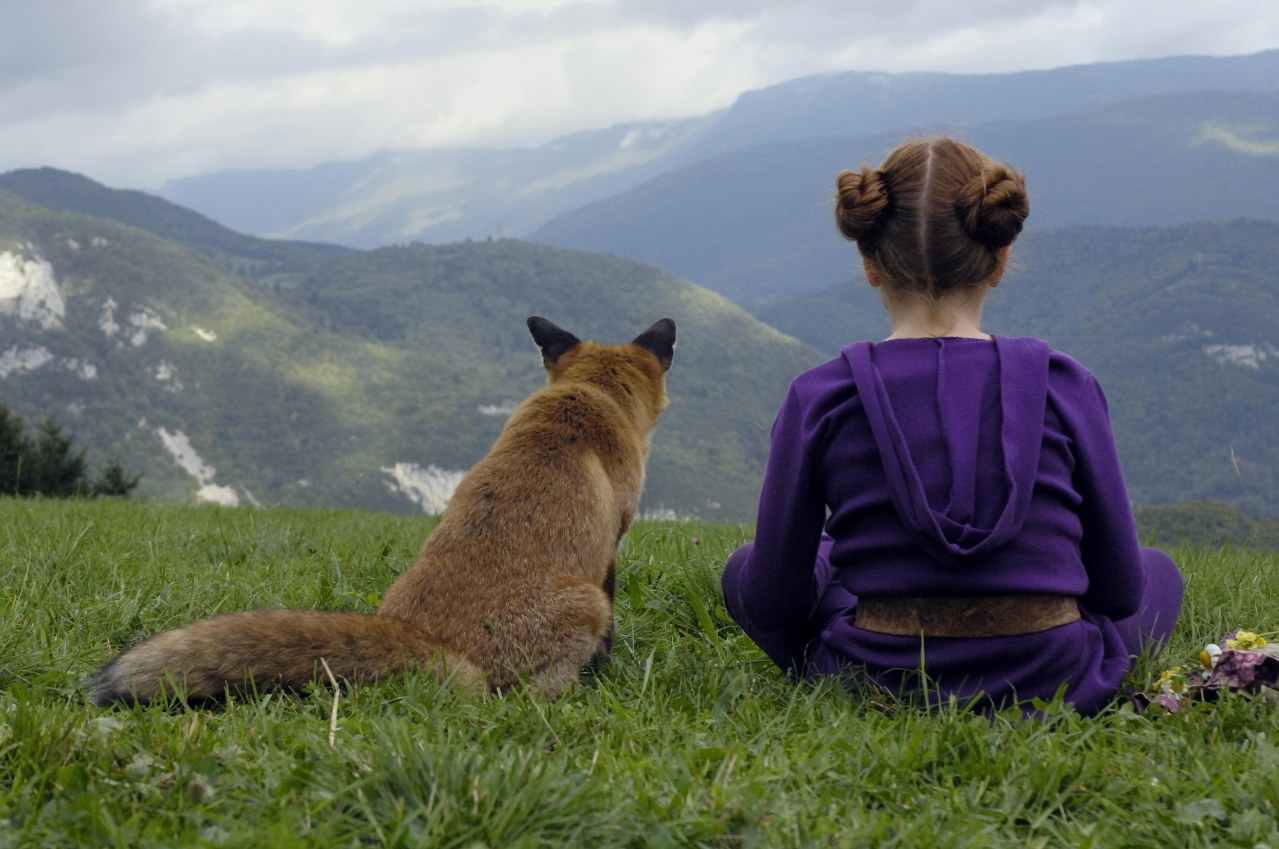 Der Fuchs und das Mädchen - Bild 8