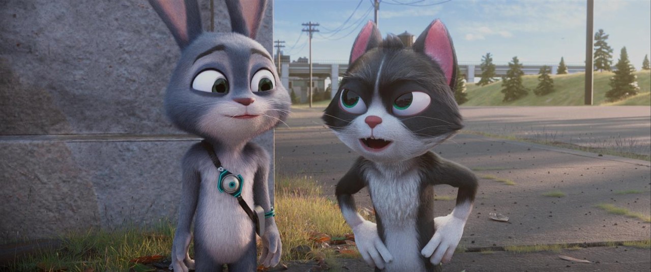 Der schlaue Hase Momo - Die große Verfolgung - Bild 1