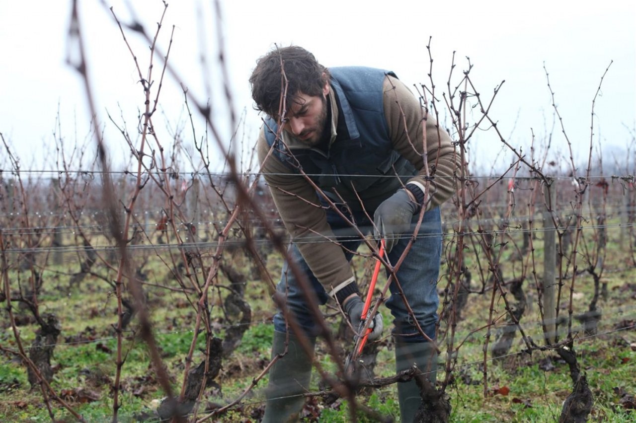 Der Wein und der Wind - Bild 4