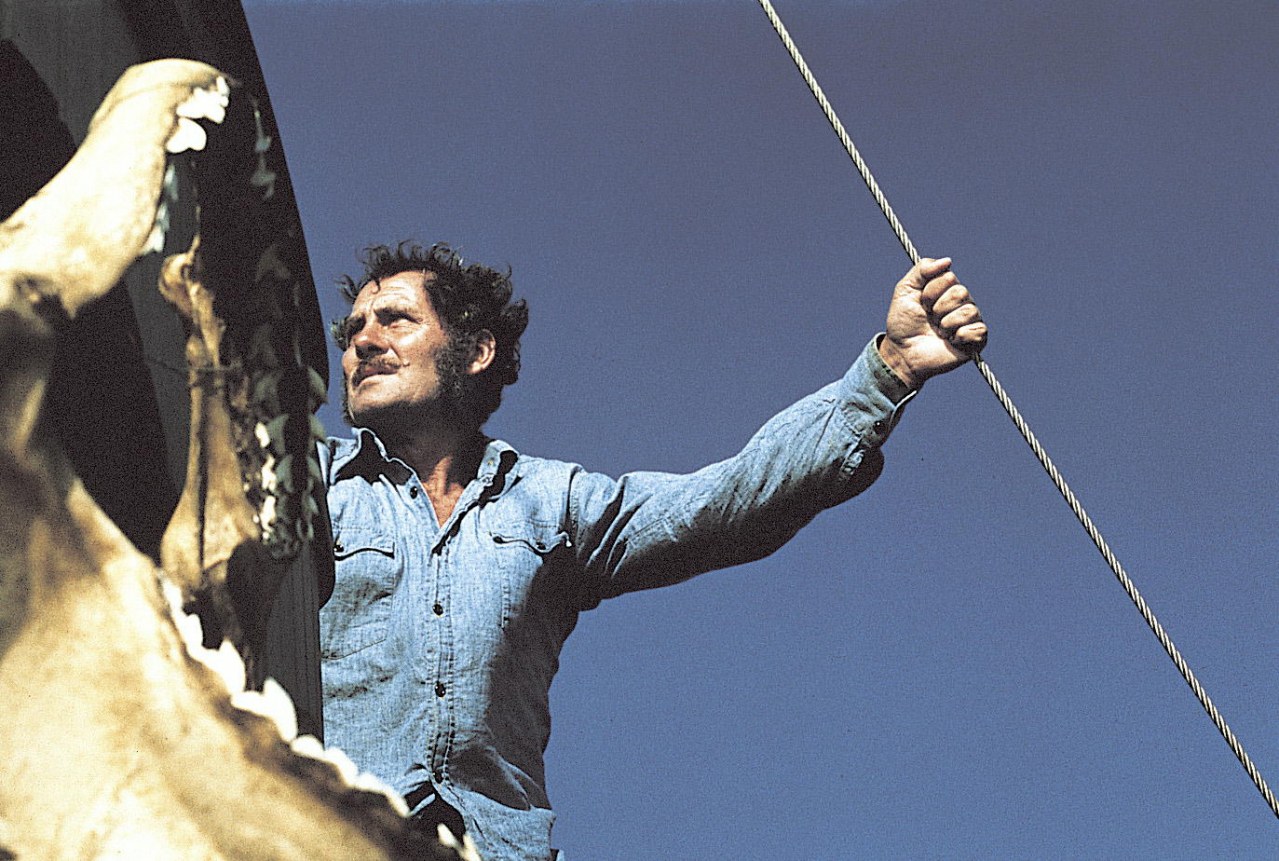 Der weiße Hai – Best of Cinema - Bild 9