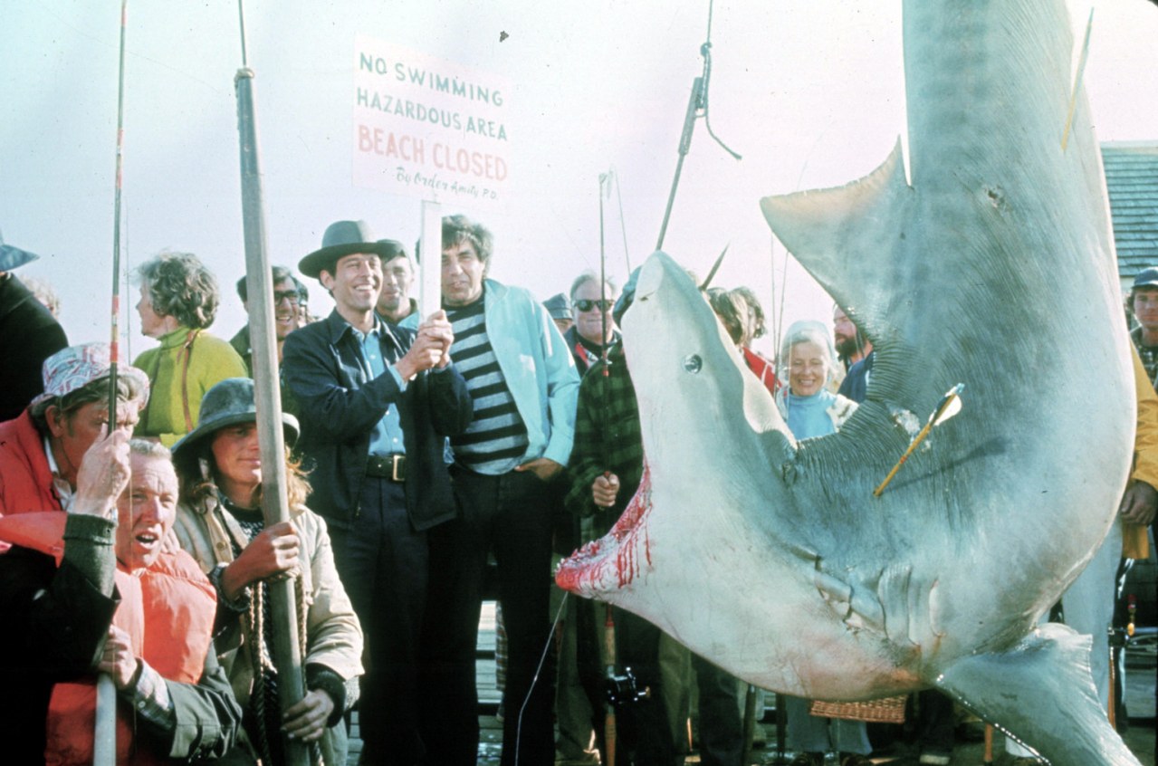 Der weiße Hai – Best of Cinema - Bild 18