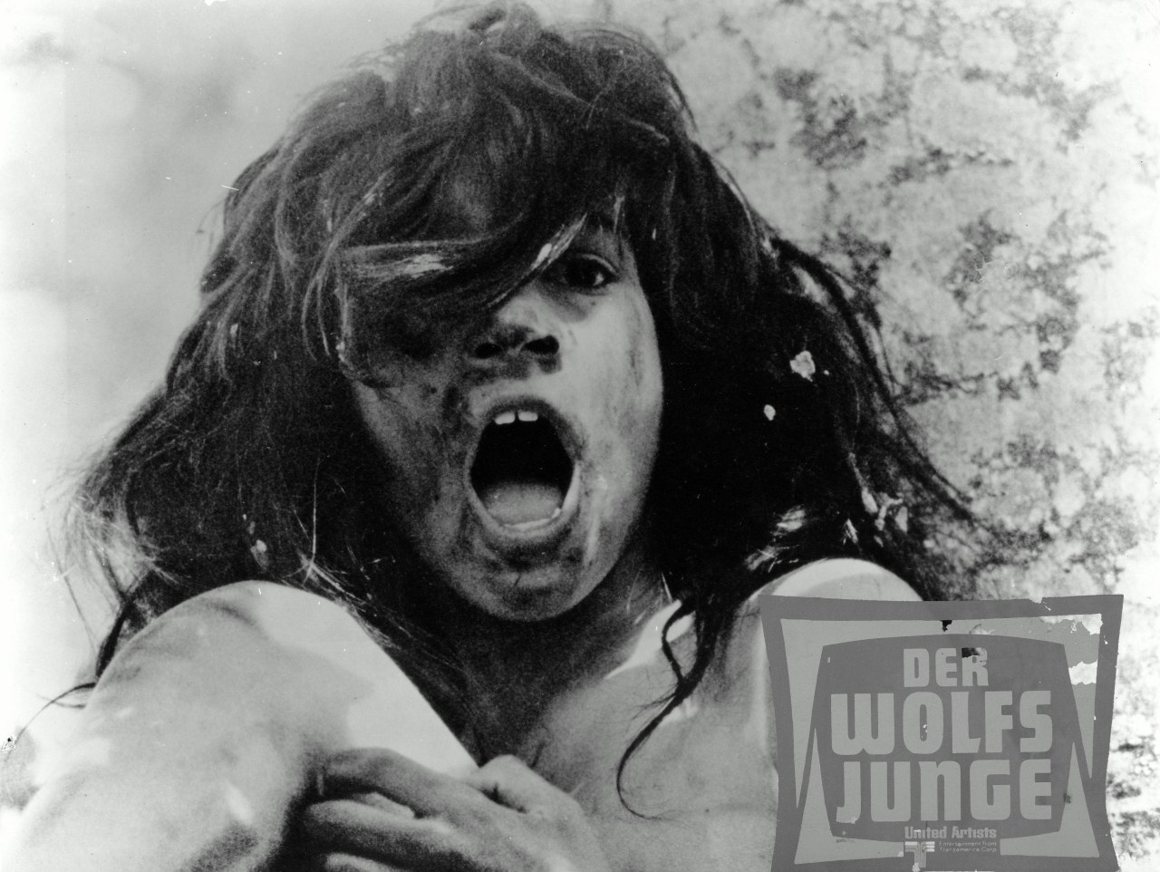 Der Wolfsjunge - Bild 3
