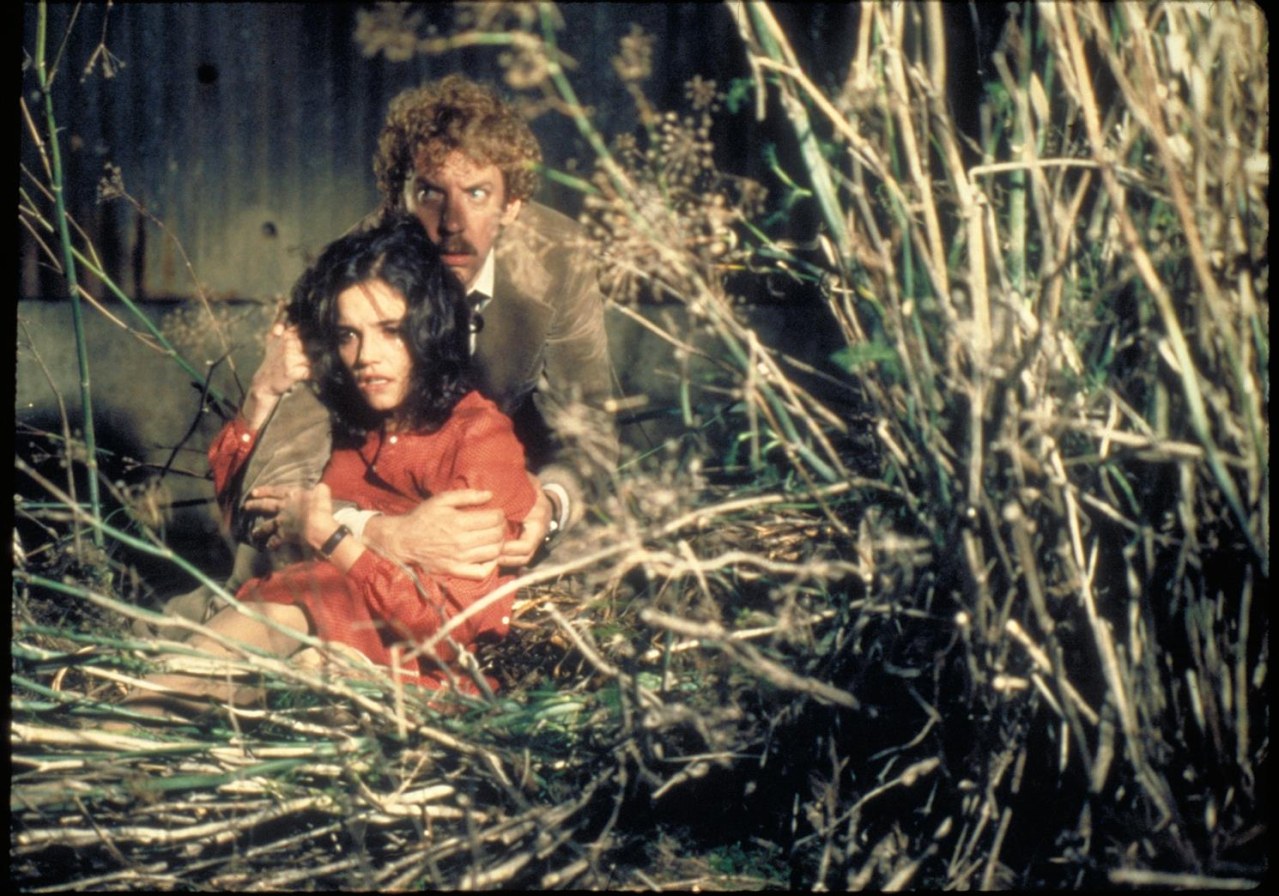 Die Körperfresser kommen - Bild 1