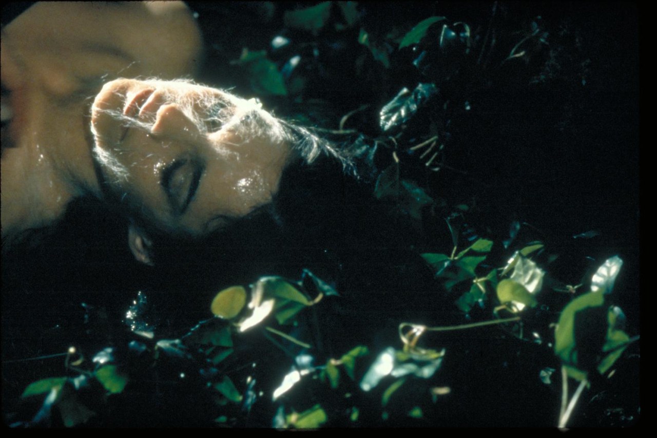 Die Körperfresser kommen - Bild 2