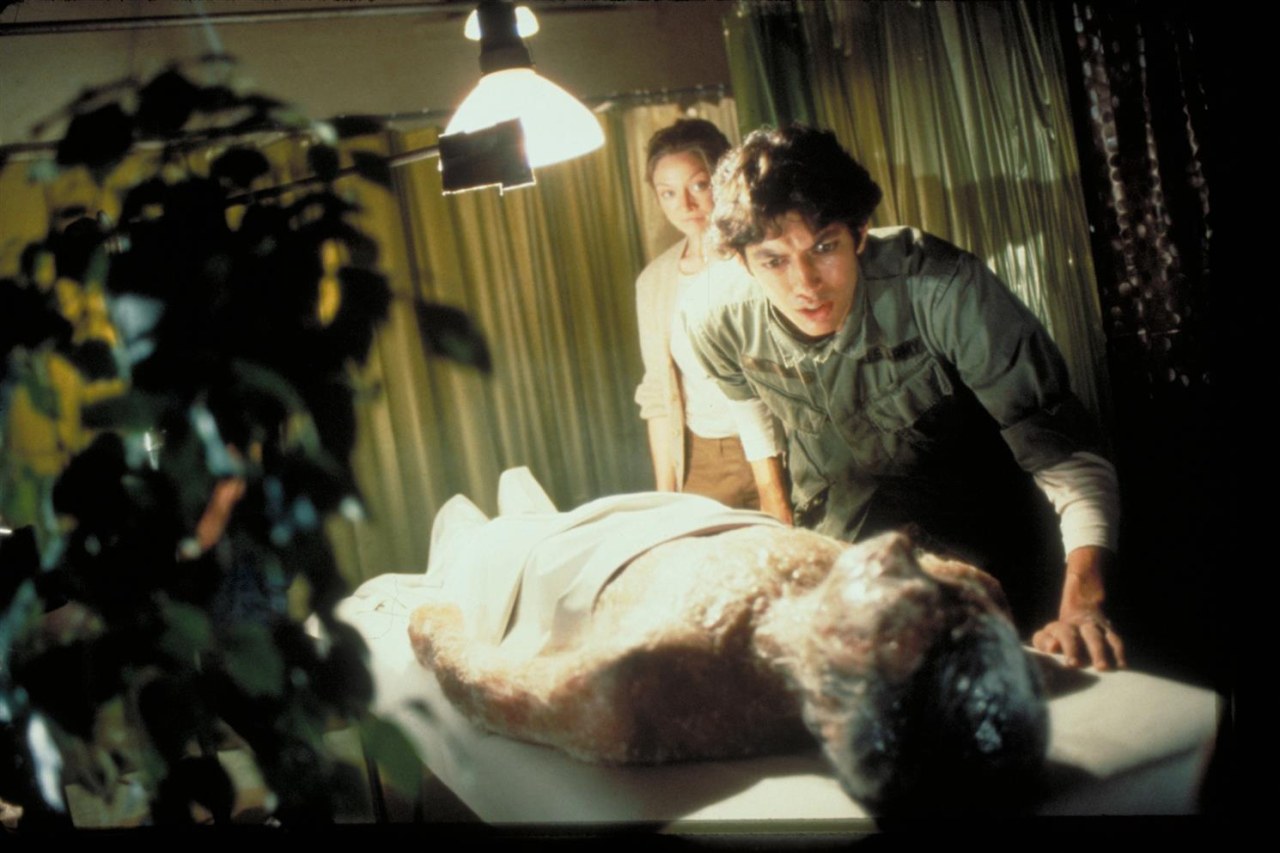 Die Körperfresser kommen - Bild 8