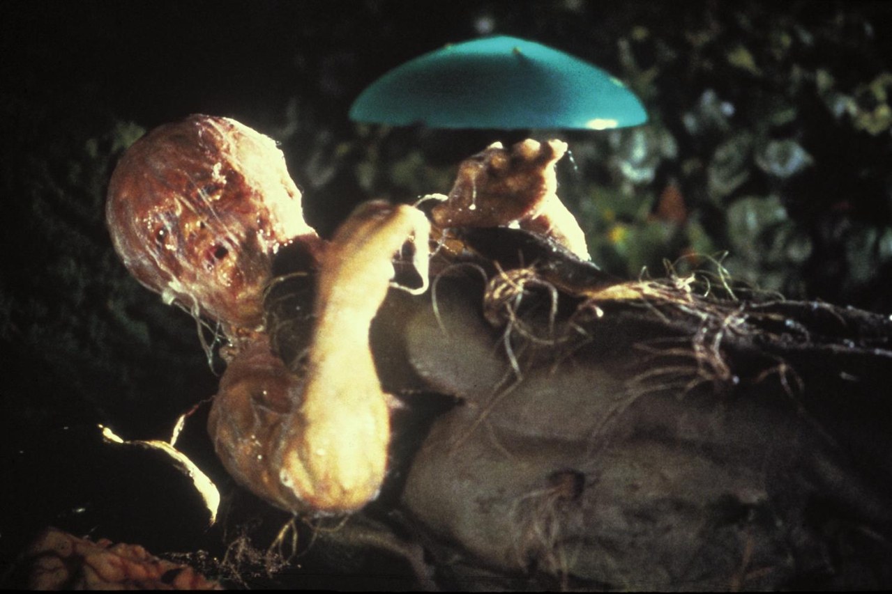 Die Körperfresser kommen - Bild 11