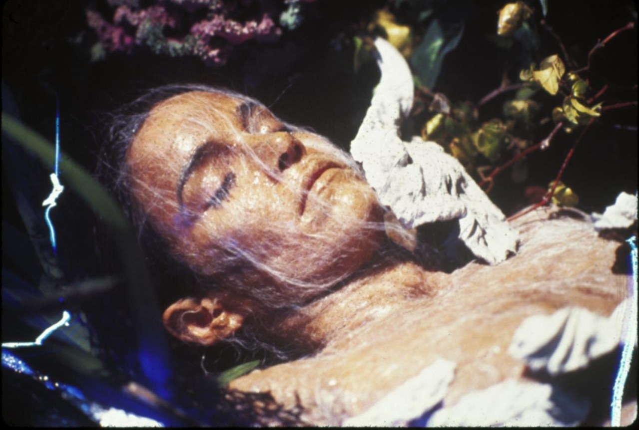 Die Körperfresser kommen - Bild 12