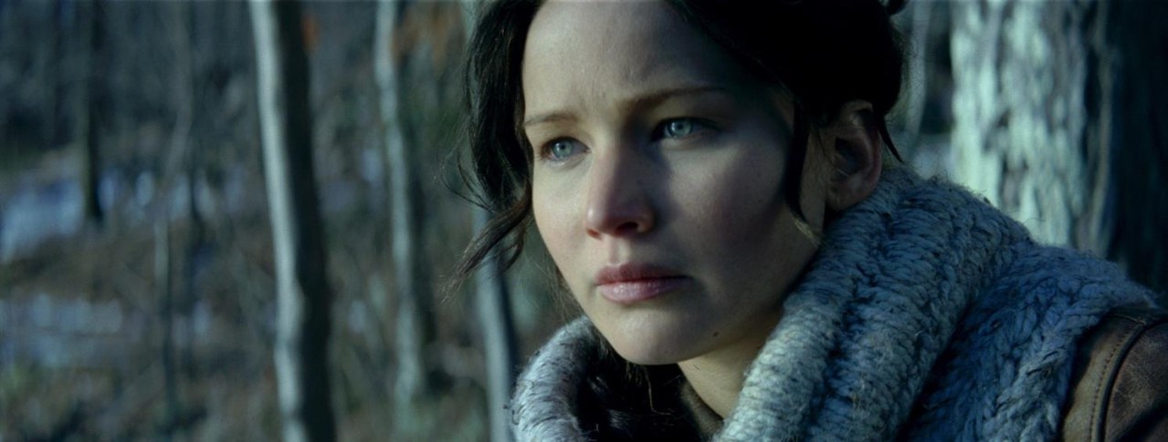 Die Tribute von Panem - Catching Fire - Bild 2