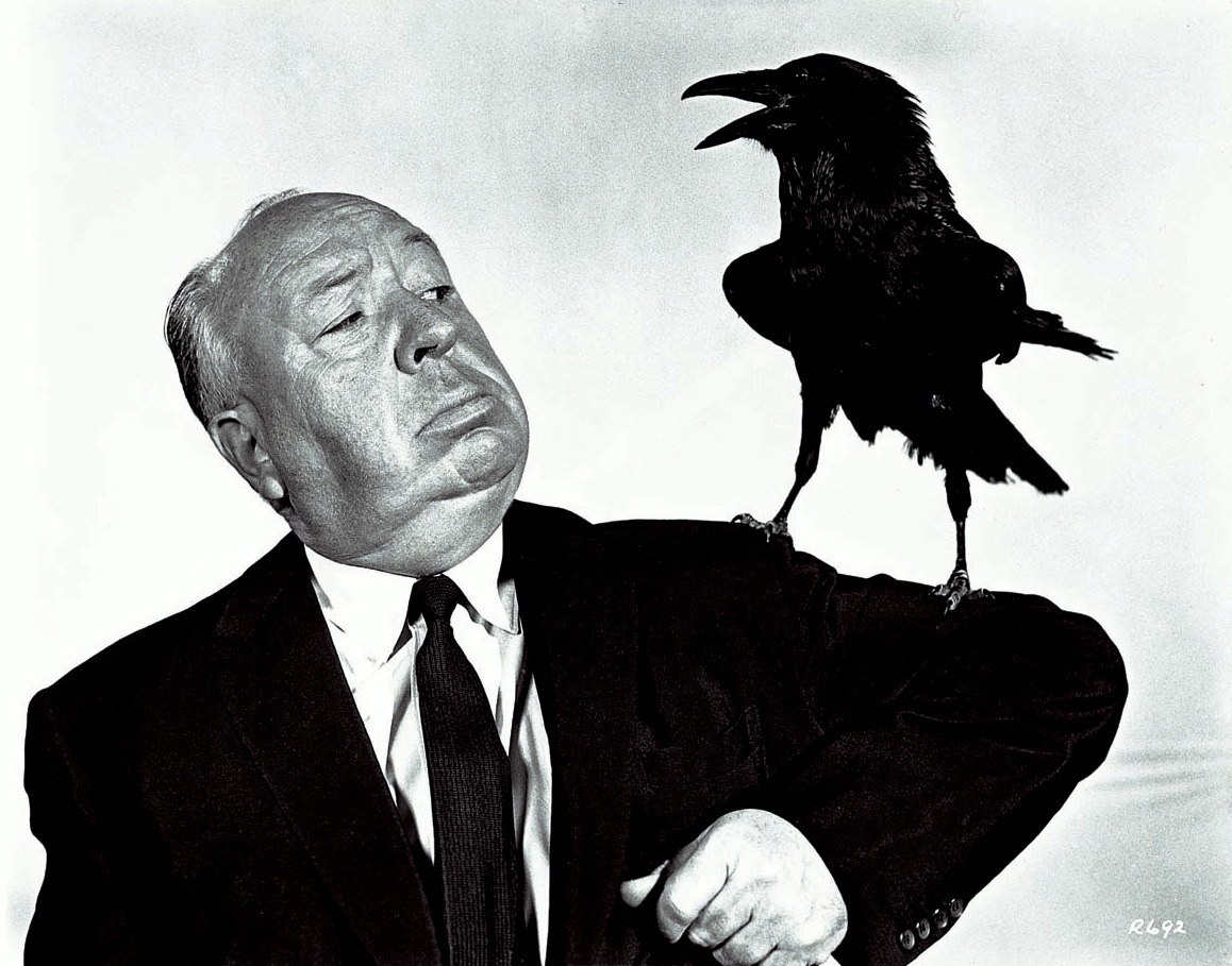 Die Vögel - Bild 5