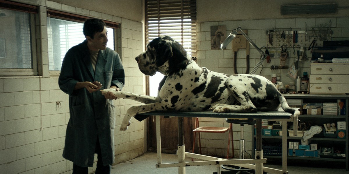 Dogman - Bild 1