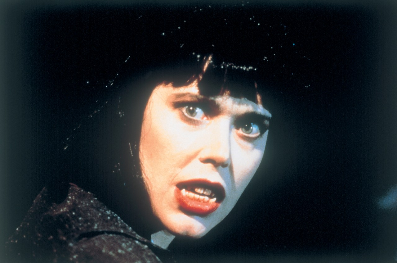 Dracula's Widow - Bild 2