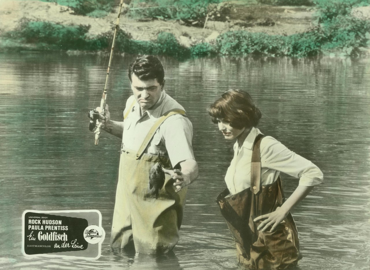 Ein Goldfisch an der Leine - Bild 2