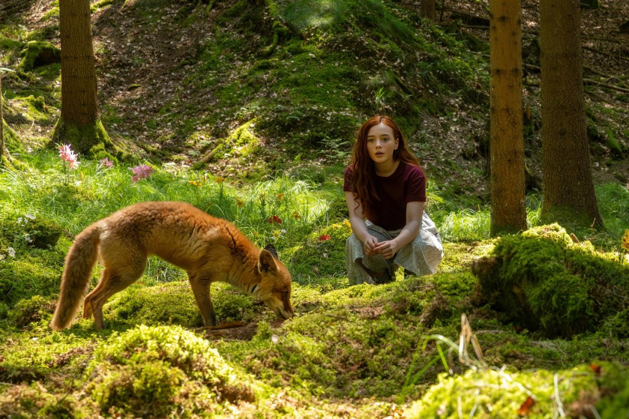 Ein Mädchen namens Willow - Bild 5