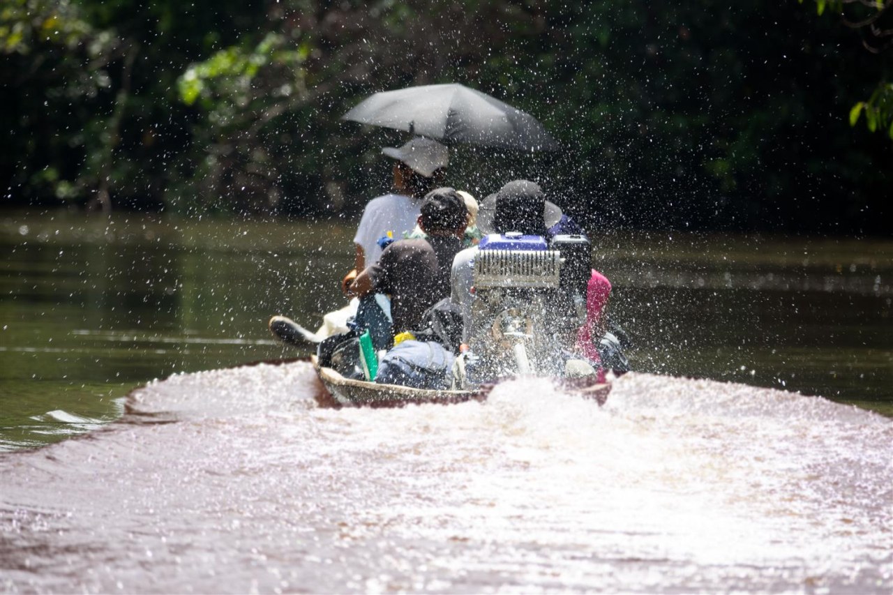 Expedition Amazonia - Bild 1