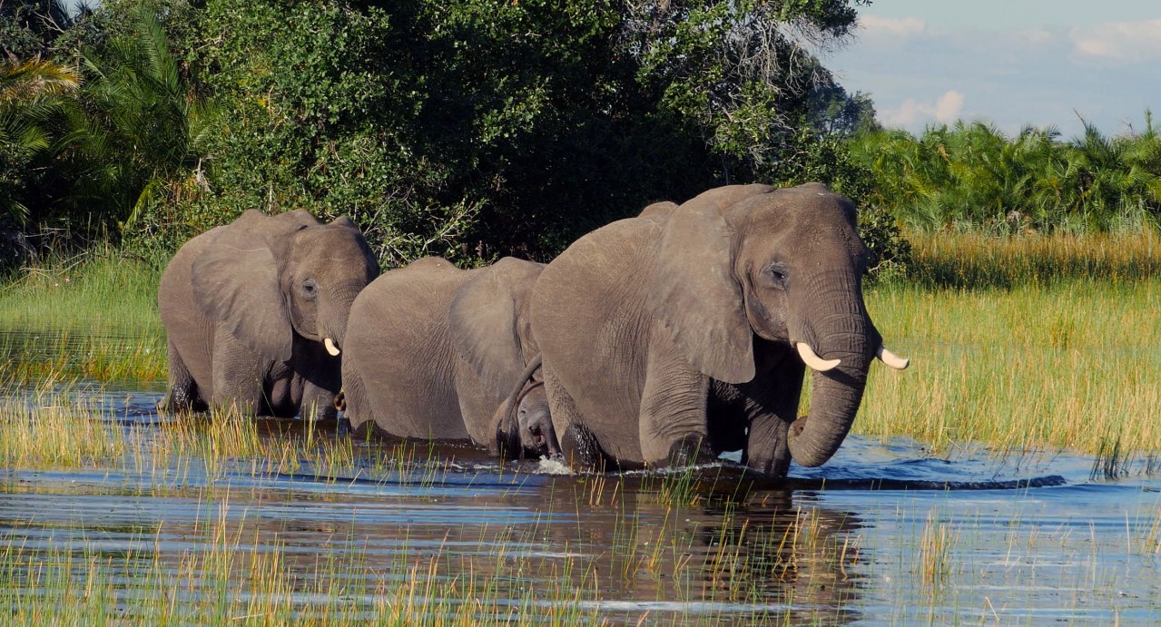 Faszination Afrika - Bild 3