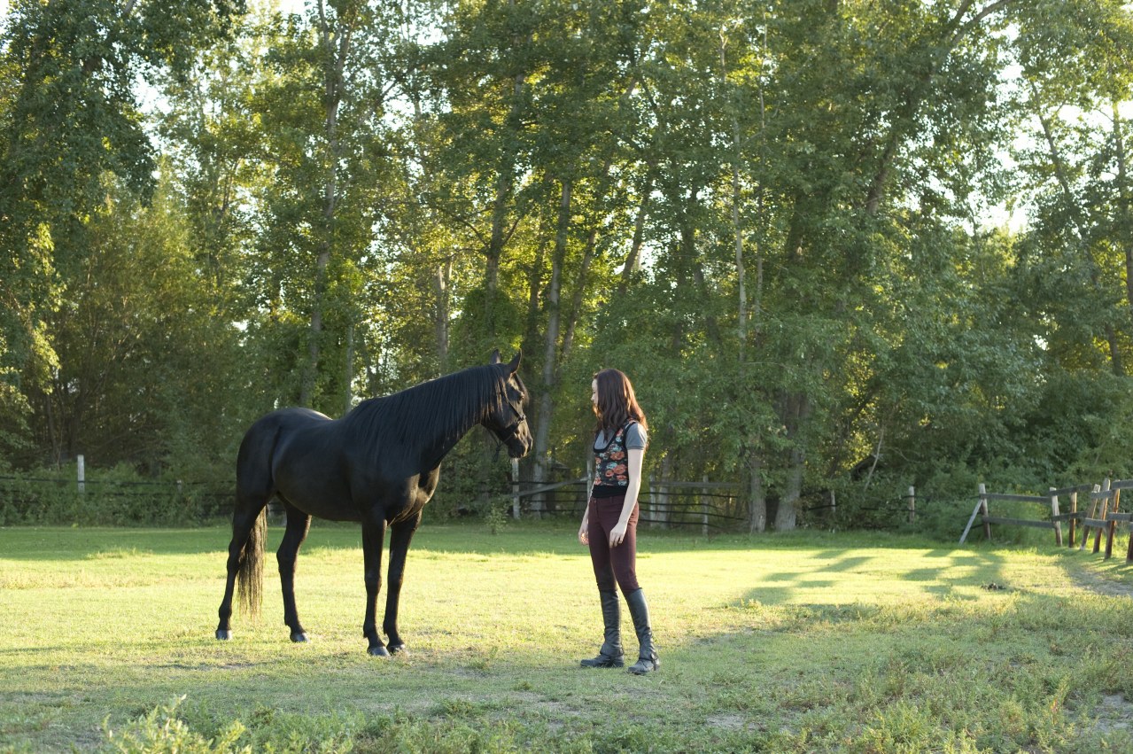 Flicka 3 - Beste Freunde - Bild 4