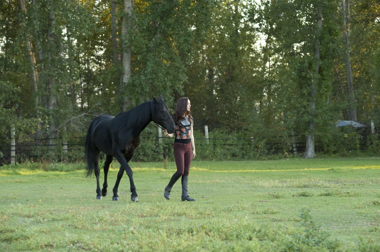 Flicka 3 - Beste Freunde - Bild 6