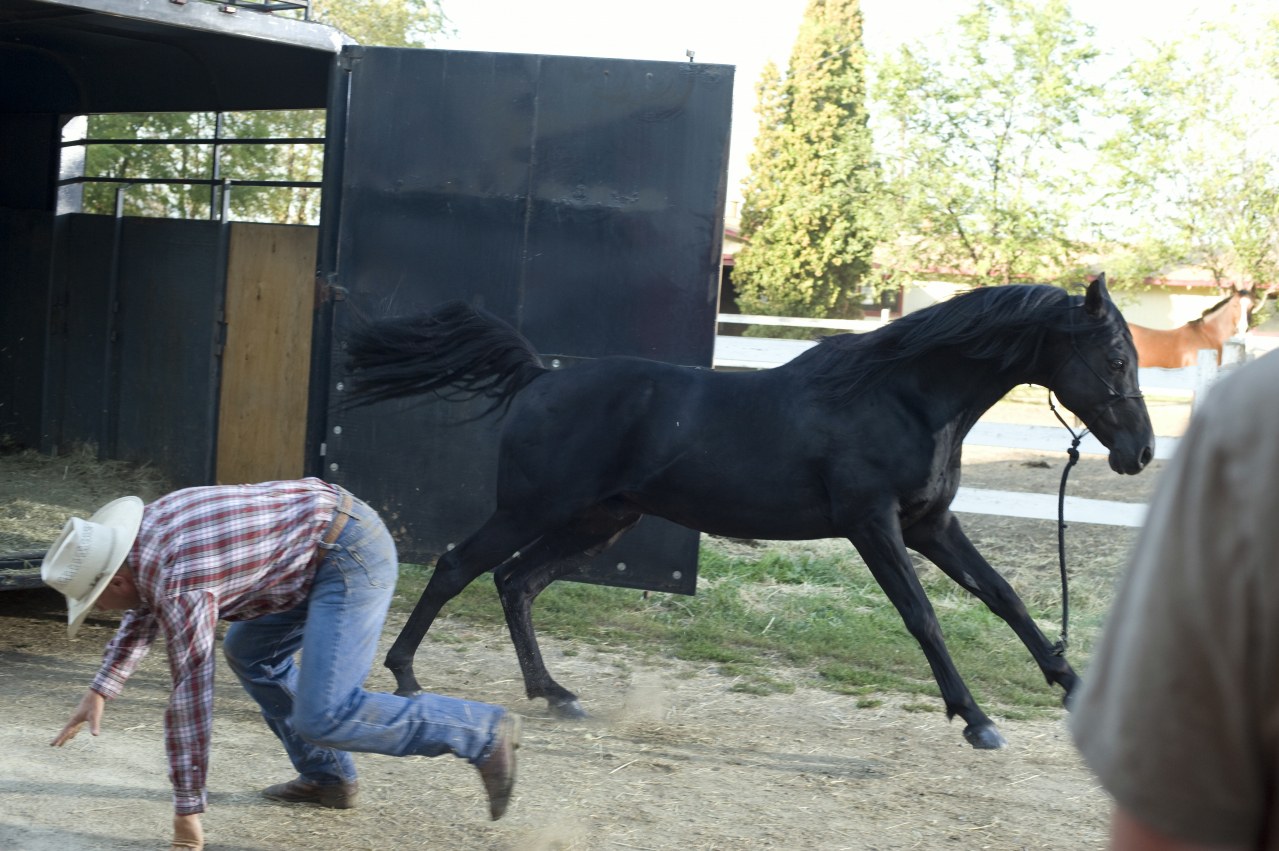 Flicka 3 - Beste Freunde - Bild 11