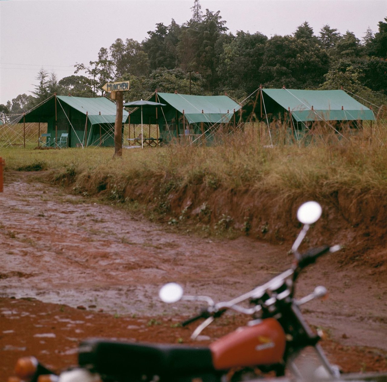 Fly Rocket Fly - Bild 3