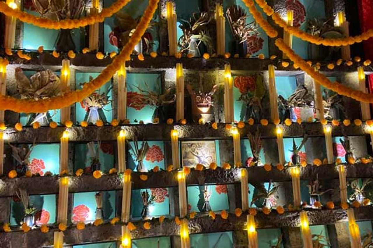 Frida Kahlo (Exhibition on Screen) - Encore 2026 - Bild 1