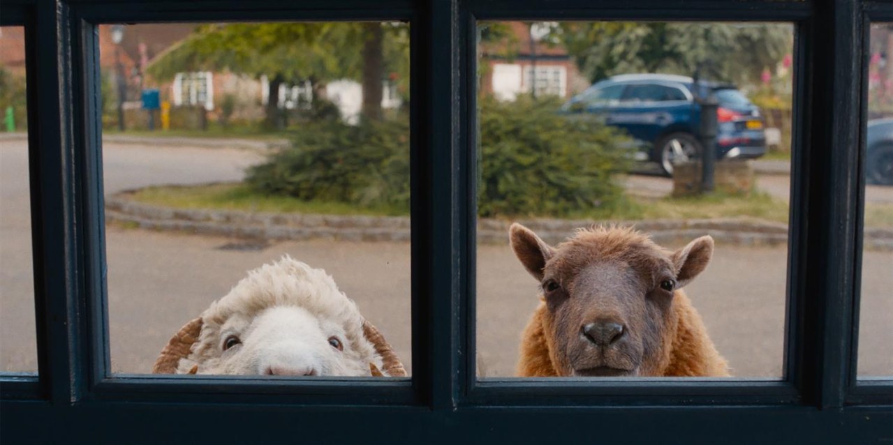 Glennkill: Ein Schafskrimi - Bild 1